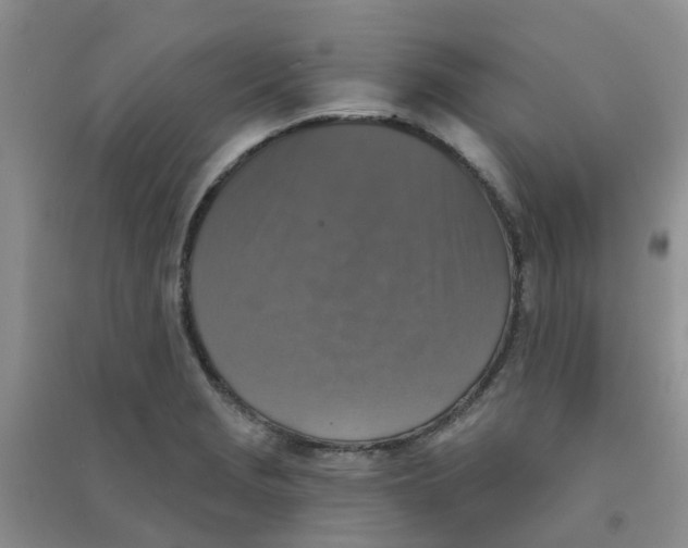 X0000090701229200708171839