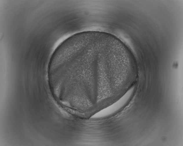 X0000090701230200708171839