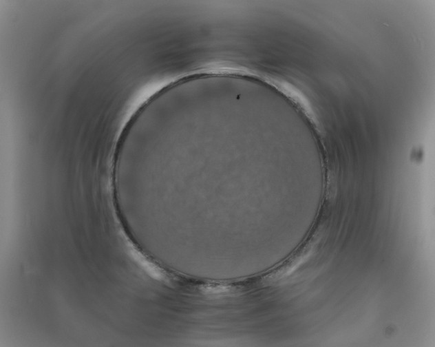 X0000090701231200708171839