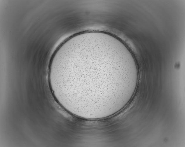 X0000090701232200708171839