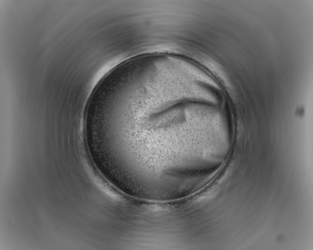 X0000090701234200708171840