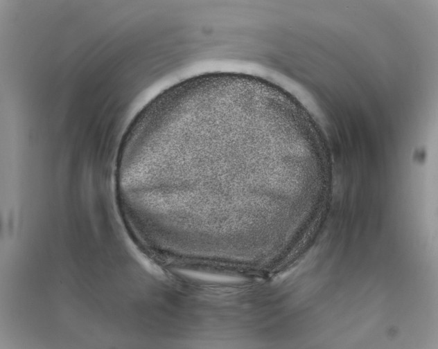 X0000090701237200708171840