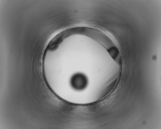 X0000090701238200708171840