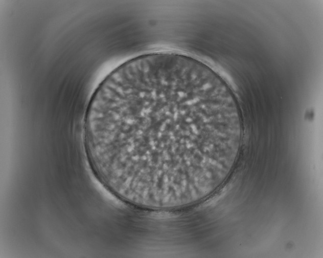 X0000090701239200708171840