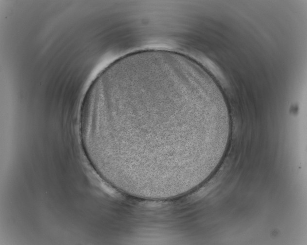 X0000090701240200708171840