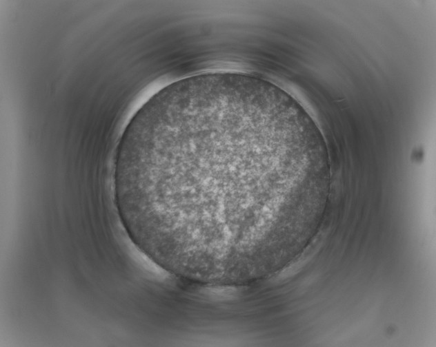 X0000090701243200708171840