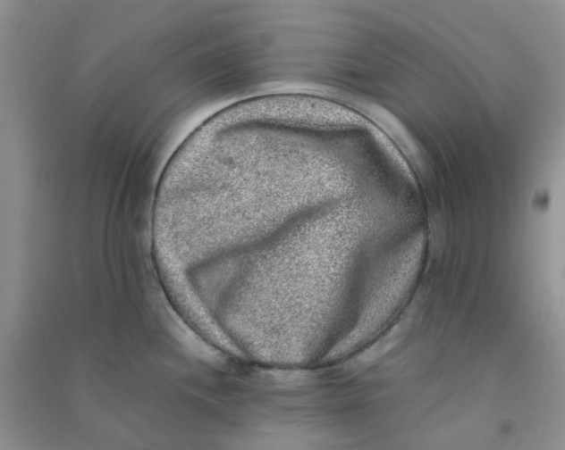 X0000090701244200708171840