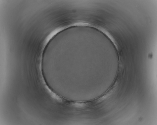 X0000090701245200708171840