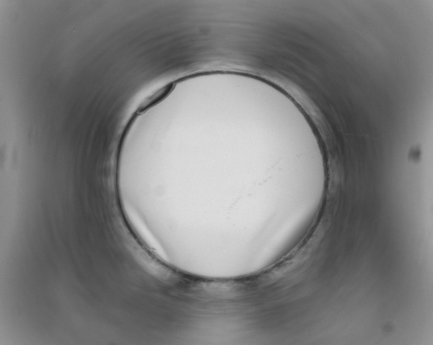 X0000090701246200708171840