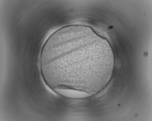 X0000090701247200708171840