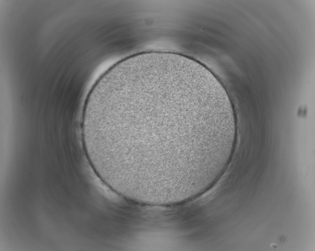 X0000090701248200708171840