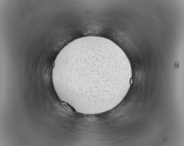 X0000090701250200708171839