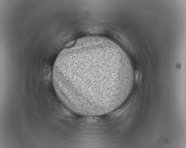 X0000090701251200708171839