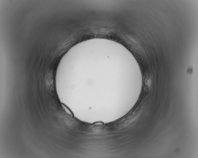 X0000090701252200708171839