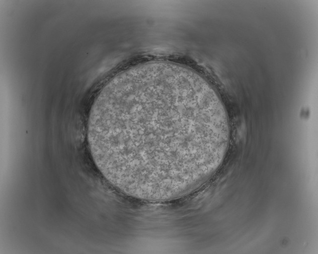 X0000090701253200708171839