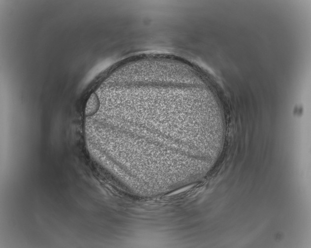 X0000090701255200708171839