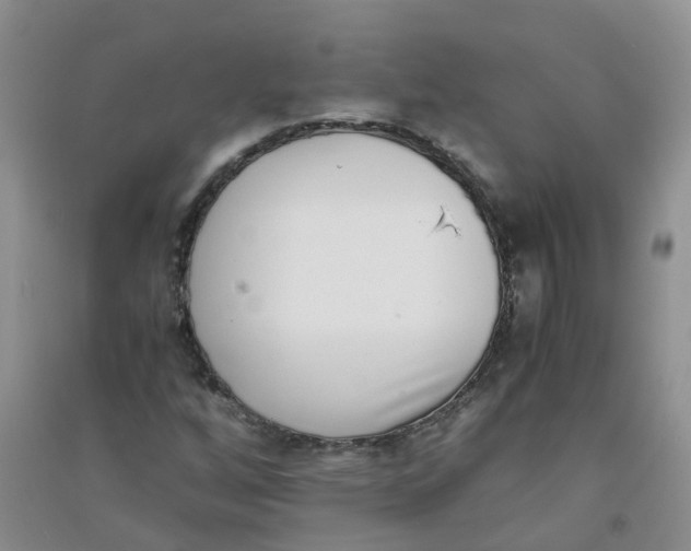 X0000090701256200708171839