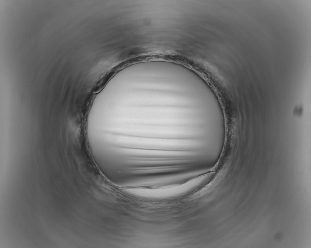 X0000090701257200708171839