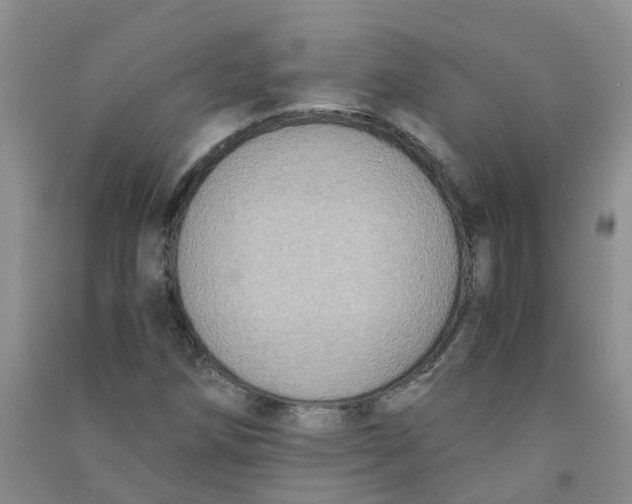 X0000090701258200708171839