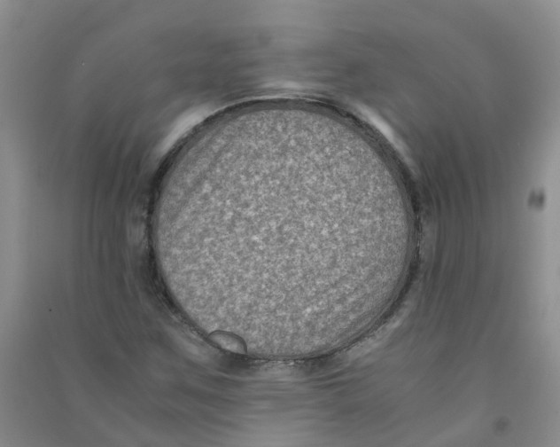 X0000090701259200708171839