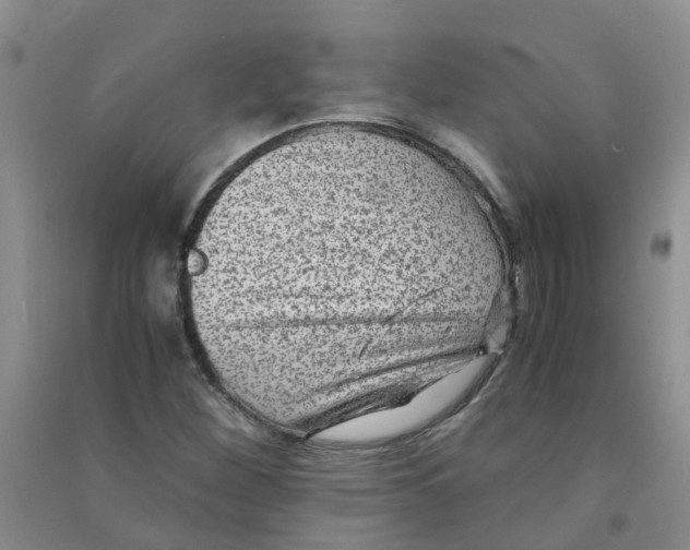 X0000090701260200708171839