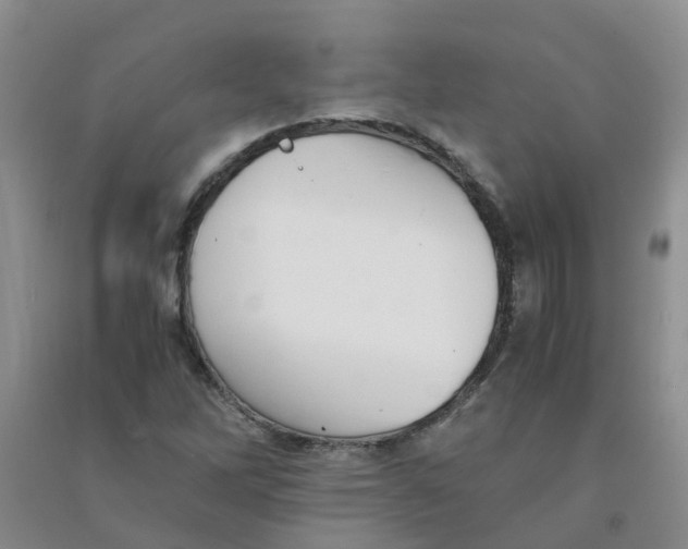 X0000090701262200708171839