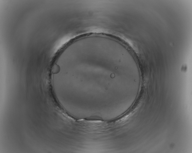 X0000090701263200708171839