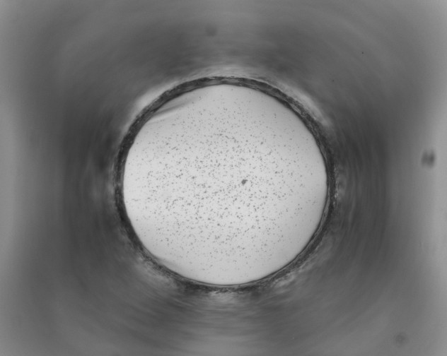 X0000090701264200708171839