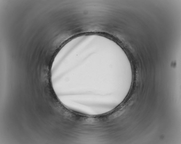 X0000090701265200708171839