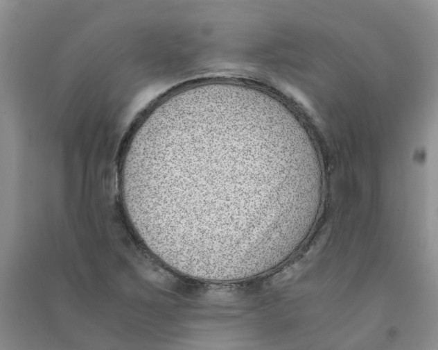 X0000090701267200708171839