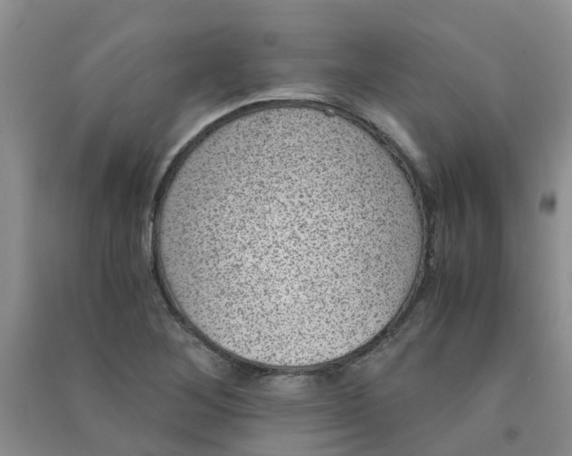 X0000090701268200708171839