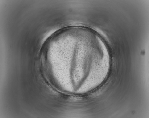 X0000090701269200708171839