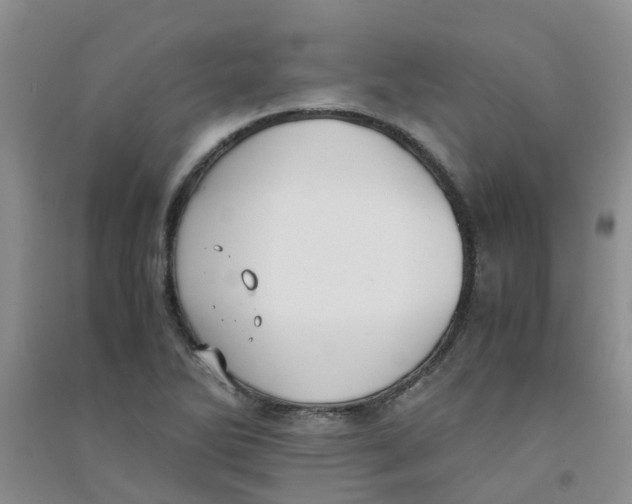 X0000090701270200708171839