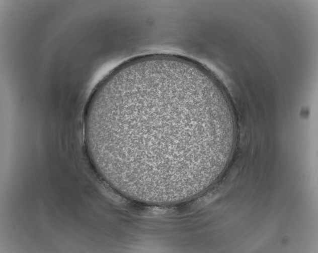 X0000090701271200708171839