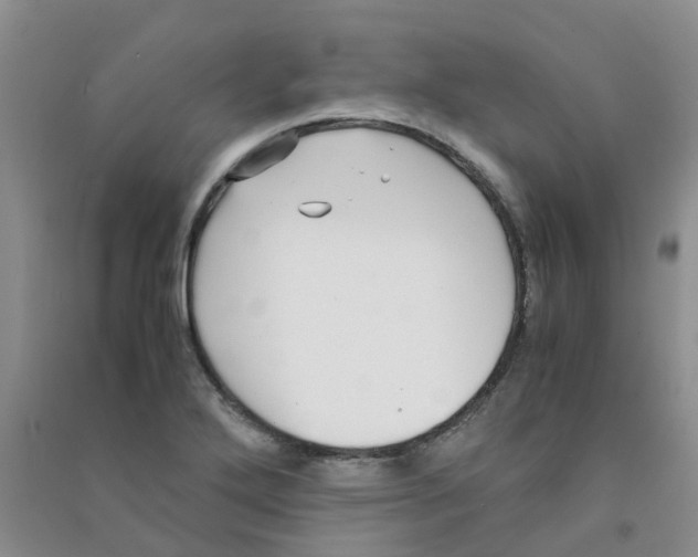 X0000090701272200708171839