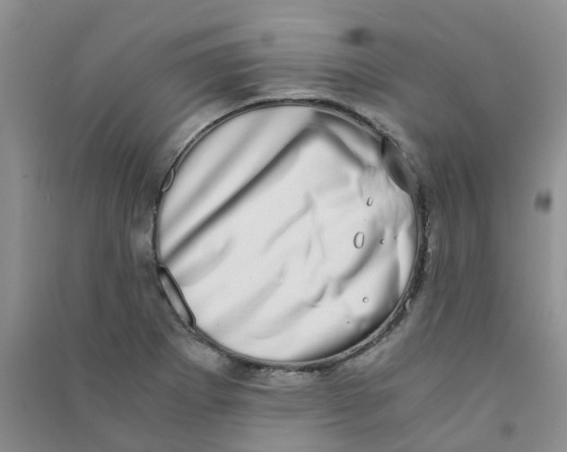 X0000090701273200708171839