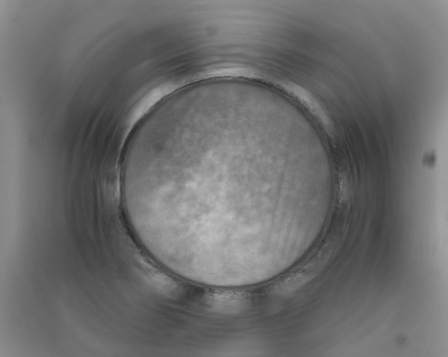 X0000090701274200708171839