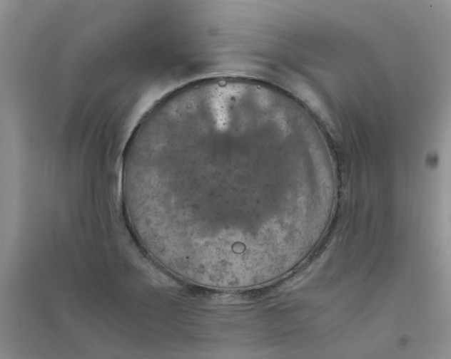 X0000090701275200708171839