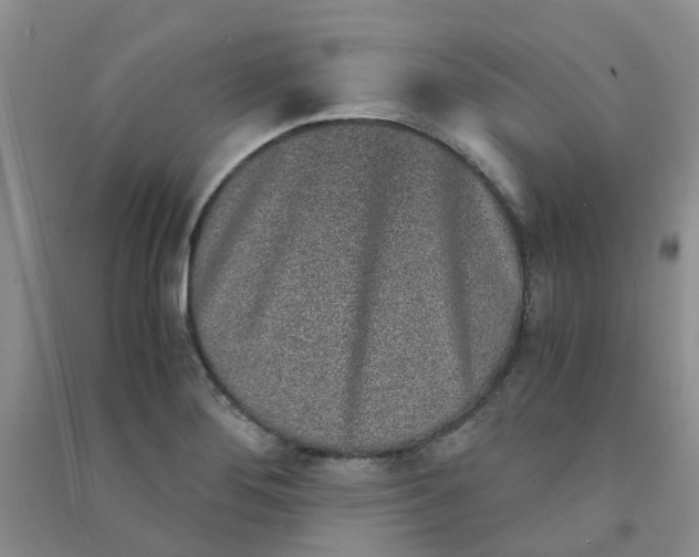 X0000090701276200708171839