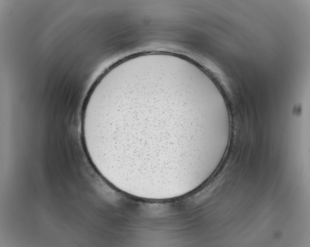 X0000090701280200708171839