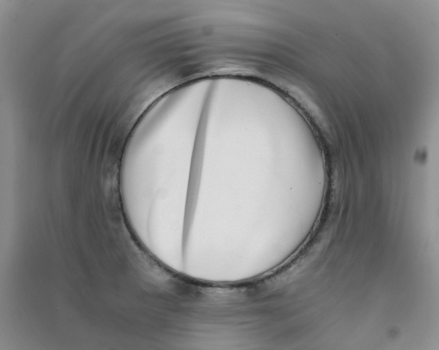 X0000090701281200708171839