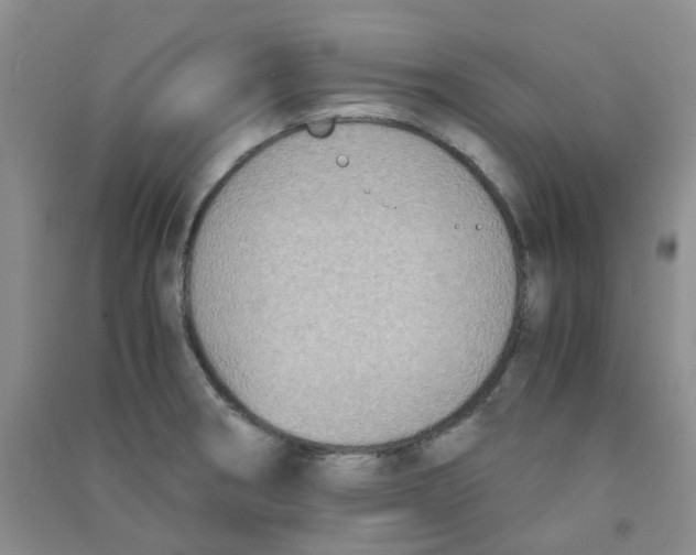 X0000090701282200708171839