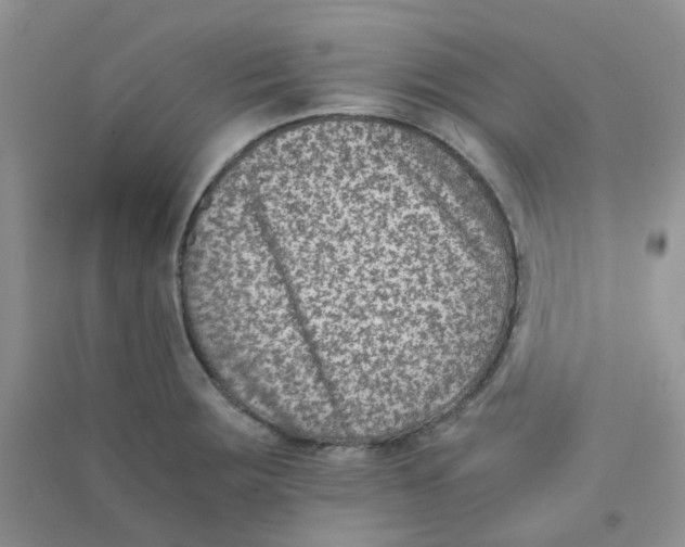 X0000090701283200708171839