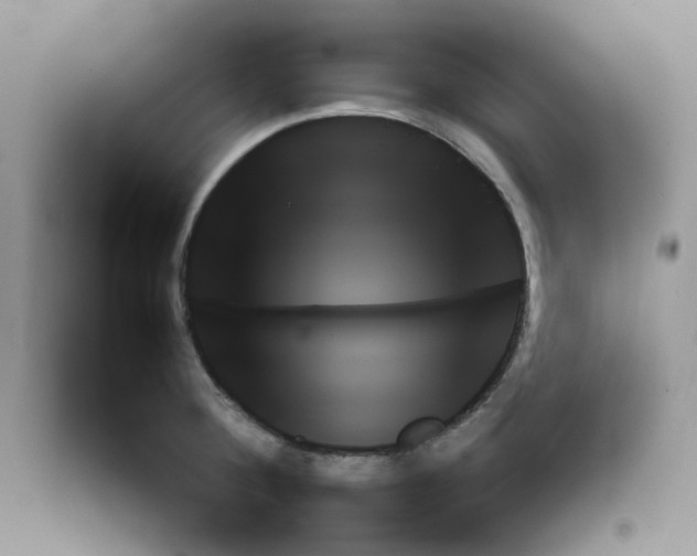 X0000090701284200708171838