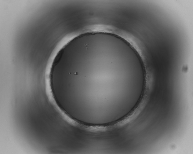 X0000090701285200708171838