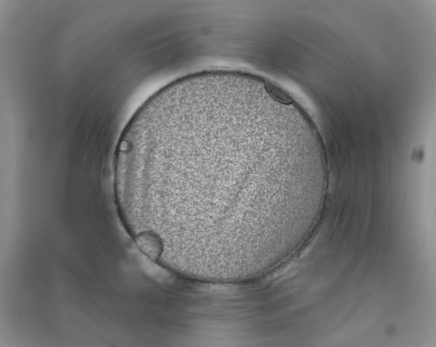 X0000090701287200708171838