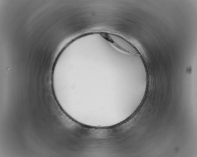 X0000090701288200708171838