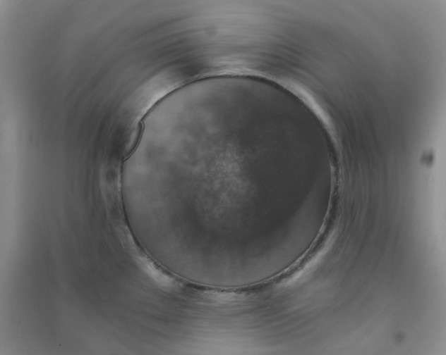 X0000090701289200708171838