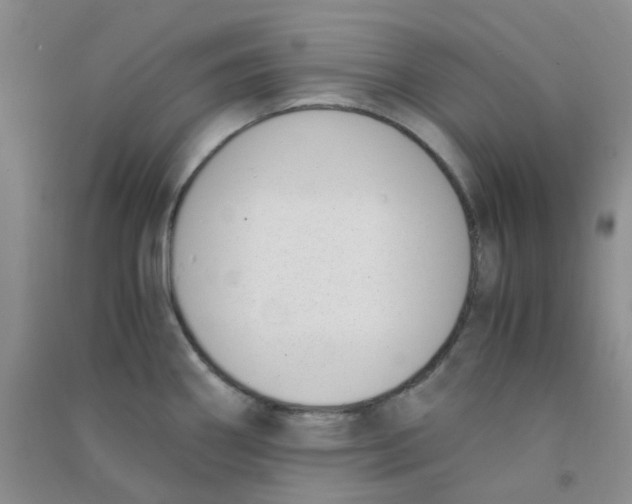 X0000090701290200708171838