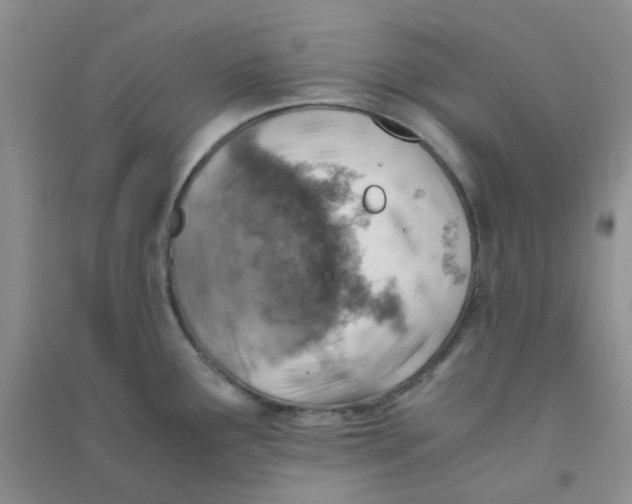 X0000090701291200708171838